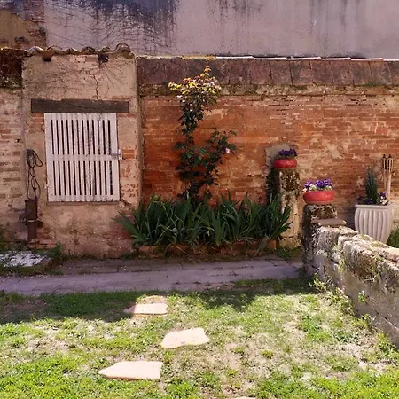 Des Chemins * Moissac