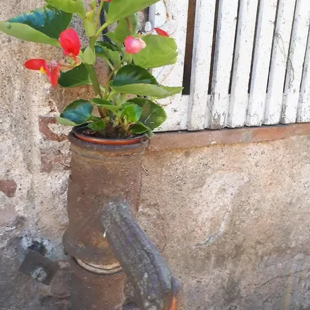 Des Chemins ゲストハウス *